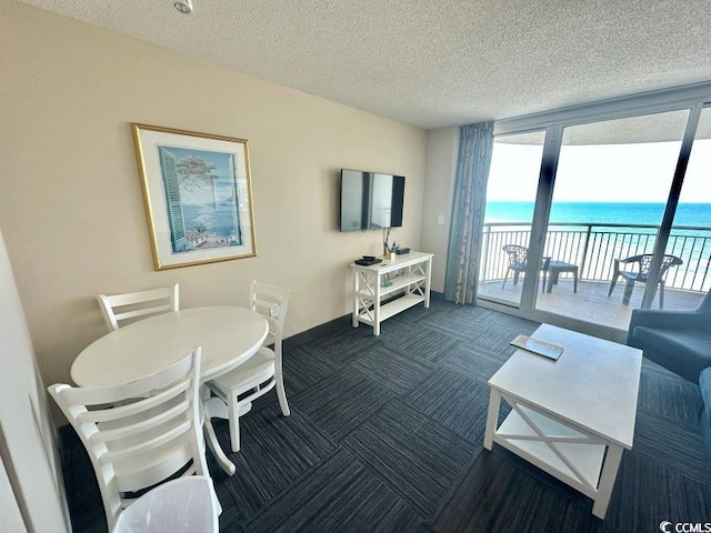 300 N Ocean Blvd Unit 1213, North Myrtle Beach, SC 29582 - living room with dark carpet and a textured ceiling