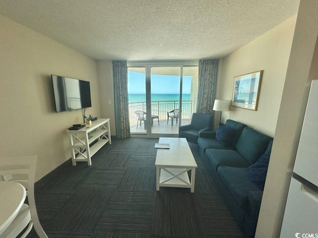 300 N Ocean Blvd Unit 1213, North Myrtle Beach, SC 29582 - living area with a textured ceiling, carpet floors, and expansive windows