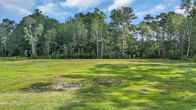 3845 Hillside Dr, Conway, SC 29526