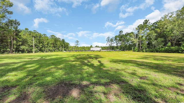 3845 Hillside Dr, Conway, SC 29526