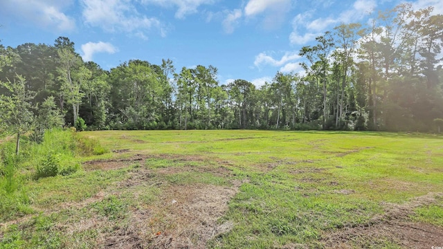 3845 Hillside Dr, Conway, SC 29526