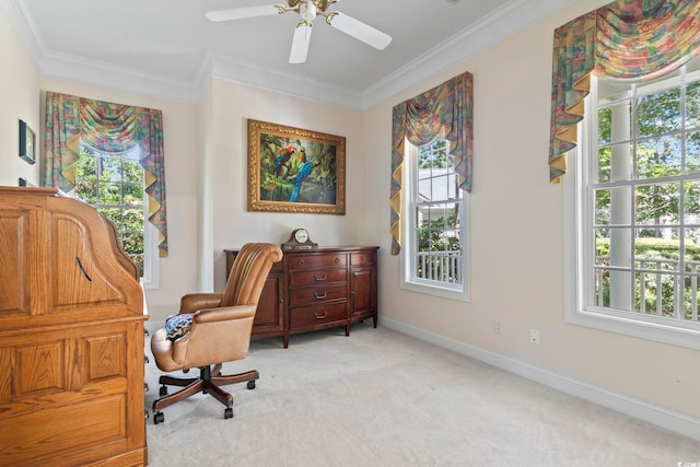 4495 Trotters Ct, Murrells Inlet, SC 29576 - office with plenty of natural light, ornamental molding, and light carpet