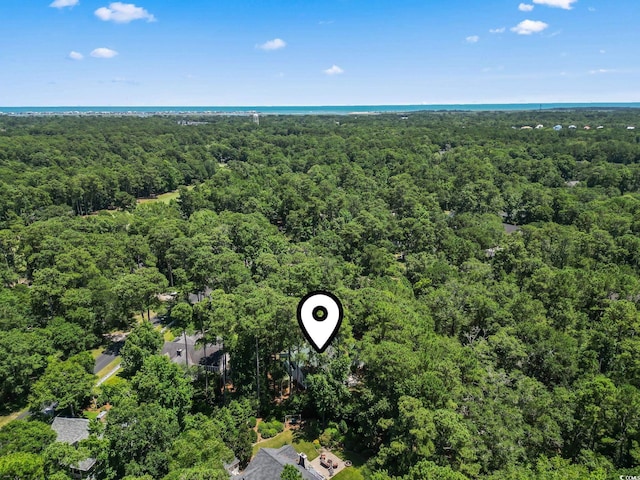 4495 Trotters Ct, Murrells Inlet, SC 29576 - drone / aerial view of a forest