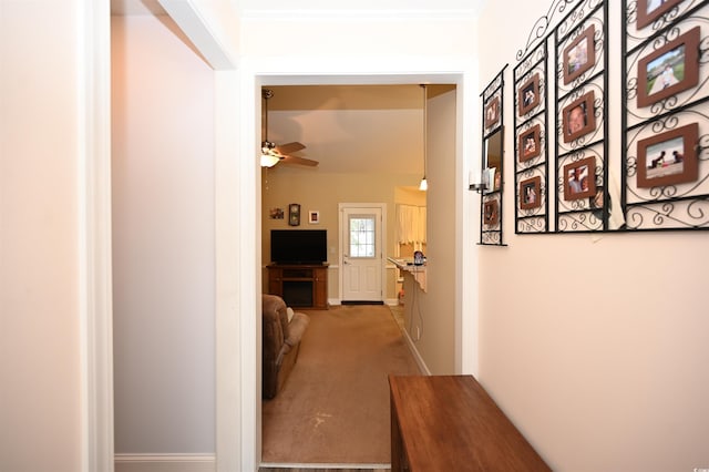 205 Cupola Dr, Longs, SC 29568 - hall featuring carpet and ornamental molding