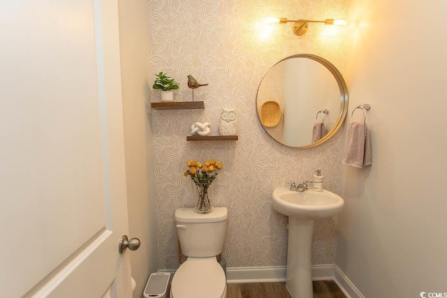 2429 Campton Loop, Conway, SC 29527 - half bathroom with wallpapered walls and wood finished floors