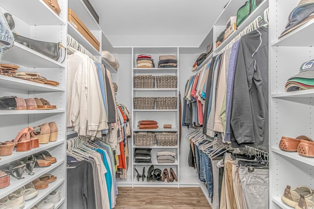 143 Enclave Pl, Pawleys Island, SC 29585 - spacious closet with wood finished floors