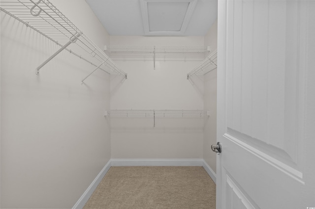 104 Fox Trot Dr, Galivants Ferry, SC 29544 - spacious closet featuring light carpet