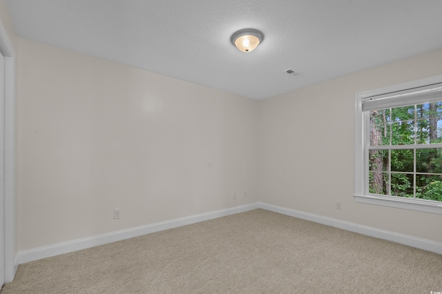 104 Fox Trot Dr, Galivants Ferry, SC 29544 - unfurnished room featuring light colored carpet and a textured ceiling