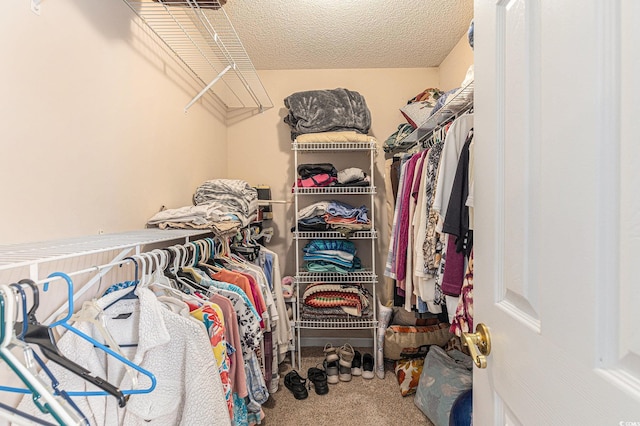 906 Hope Cir, Conway, SC 29527 - walk in closet featuring carpet floors