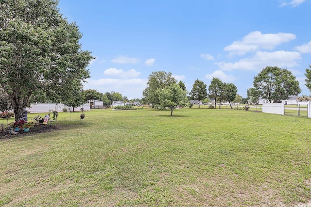 906 Hope Cir, Conway, SC 29527 - view of yard