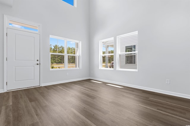 788 NW Palm Frond Way Unit 50, Calabash, NC 28467 - foyer entrance featuring wood finished floors and a high ceiling