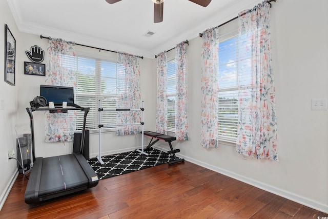 617 Carolina Farms Blvd, Myrtle Beach, SC 29579 - workout room featuring crown molding, wood finished floors, and ceiling fan