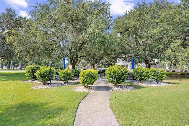 4643 Wild Iris Dr Unit 204, Myrtle Beach, SC 29577 - photo 36