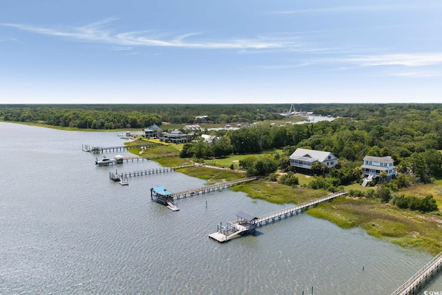 315 Lofton Ct, Mcclellanville, SC 29458 - photo 7