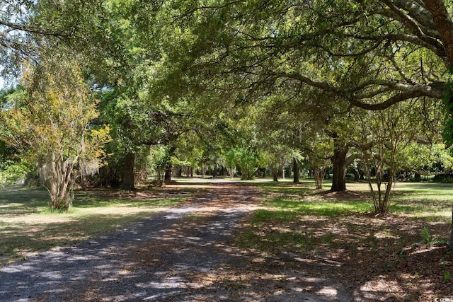 315 Lofton Ct, Mcclellanville, SC 29458 - photo 40