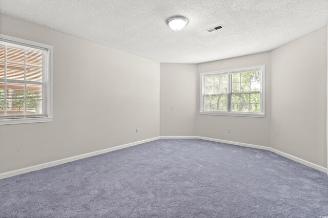 315 N River Pines Rd, Mullins, SC 29574 - spare room featuring healthy amount of natural light, carpet, and a textured ceiling