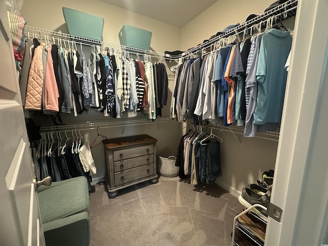 240 Sundew Loop, Little River, SC 29566 - walk in closet with carpet flooring