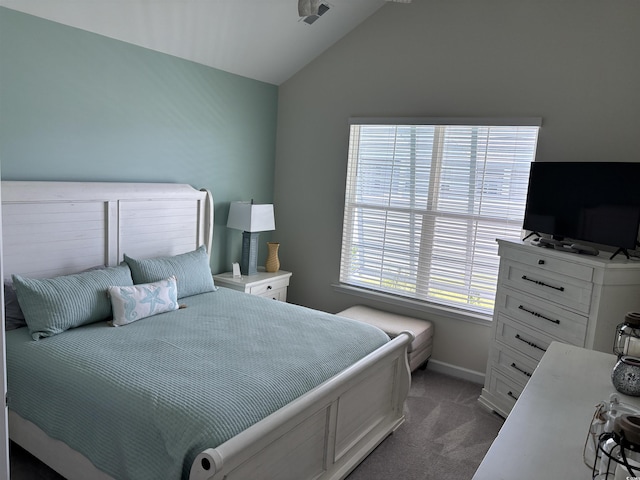 240 Sundew Loop, Little River, SC 29566 - bedroom featuring lofted ceiling and carpet flooring