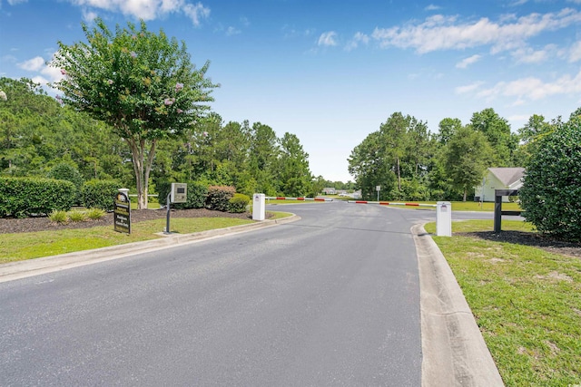 252 Timber Run Dr, Georgetown, SC 29440 - photo 38