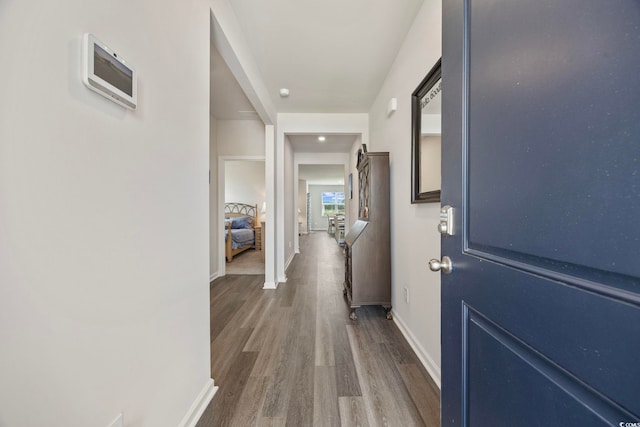 305 Picnic Basket Pl, Longs, SC 29568 - corridor with baseboards and wood finished floors