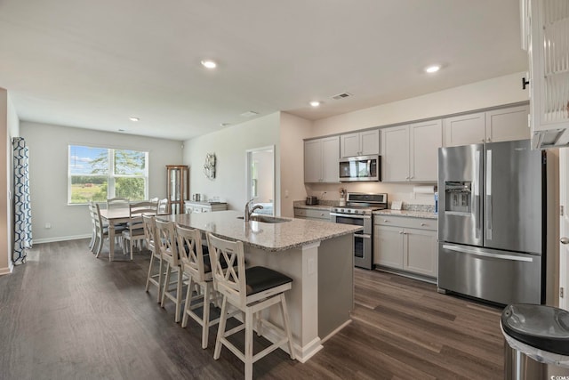 305 Picnic Basket Pl, Longs, SC 29568 - kitchen with appliances with stainless steel finishes, gray cabinets, dark wood-style floors, and recessed lighting