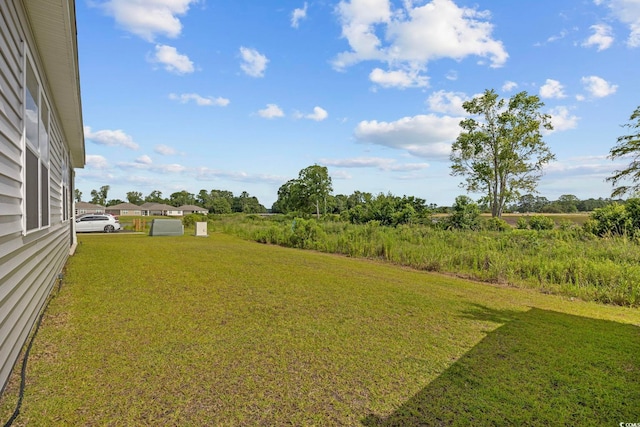 305 Picnic Basket Pl, Longs, SC 29568 - view of grassy yard