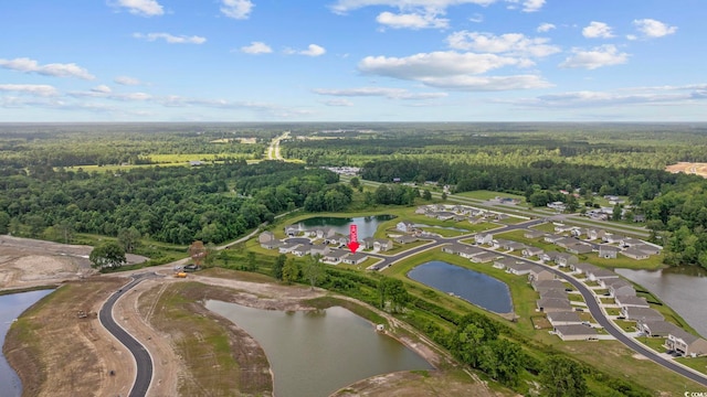 305 Picnic Basket Pl, Longs, SC 29568 - view of property location featuring a large body of water