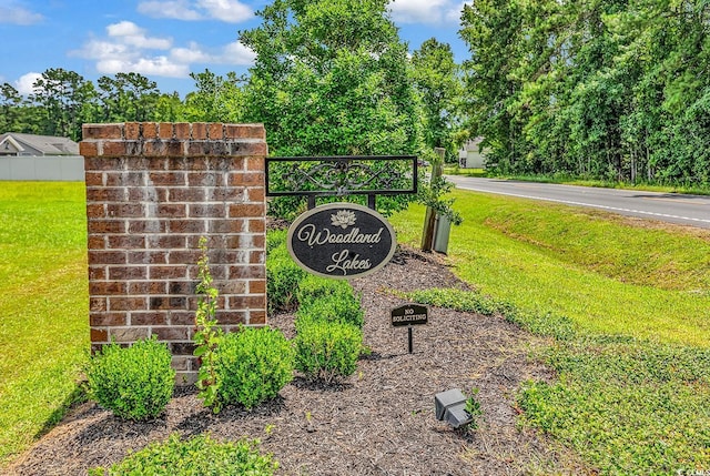 3230 Merganser Dr, Conway, SC 29527 - photo 29