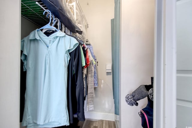 4179 Hibiscus Dr Unit 12-301, Little River, SC 29566 - spacious closet with wood finished floors