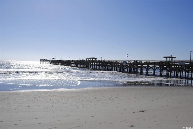 201 Augusta Green Way, Myrtle Beach, SC 29579 - dock area with view of water and beach and a pier