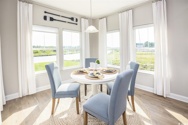 201 Augusta Green Way, Myrtle Beach, SC 29579 - dining area featuring a water view, light wood-type flooring, and plenty of natural light