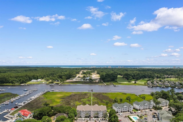 4366 Rivergate Ln Unit 404, Little River, SC 29566 - bird's eye view of a large body of water and a forest