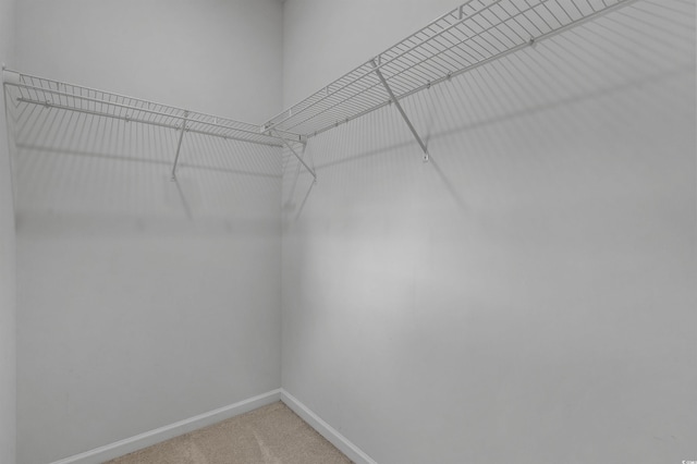 4737 Seclusion Ln, Myrtle Beach, SC 29577 - spacious closet featuring light colored carpet