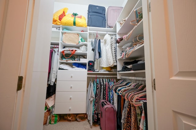 530 Inverarry St, Murrells Inlet, SC 29576 - walk in closet featuring carpet floors