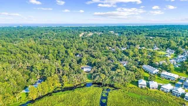 175 Chapel Creek Rd, Pawleys Island, SC 29585 - aerial overview of property's location with a forest
