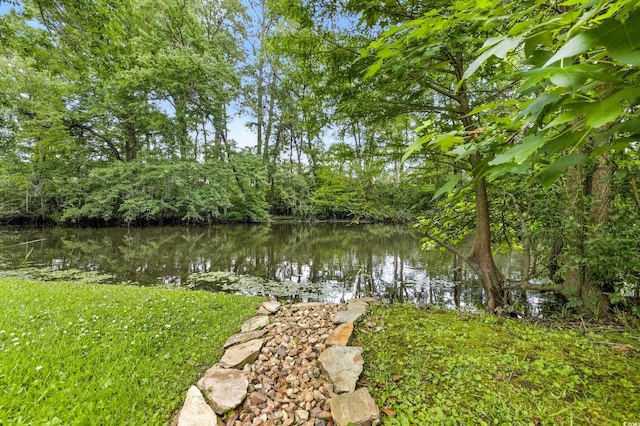 175 Chapel Creek Rd, Pawleys Island, SC 29585 - water view