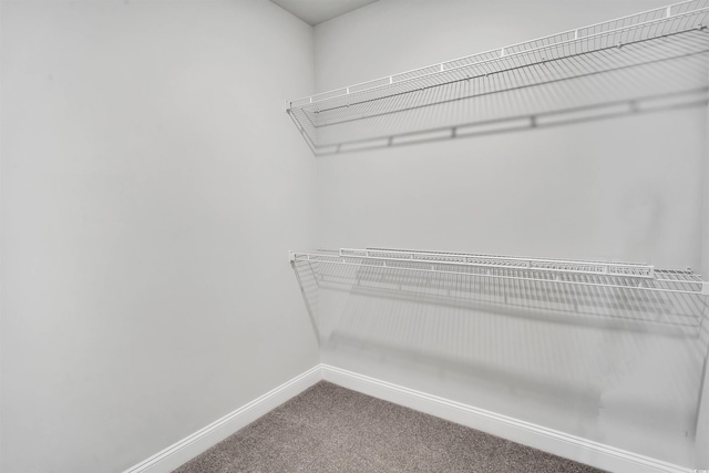 1012 Fowler Rd, Conway, SC 29526 - walk in closet featuring carpet flooring