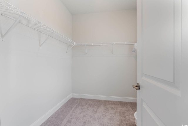 5116 Double Eagle Way Unit 49, North Myrtle Beach, SC 29582 - spacious closet with carpet floors