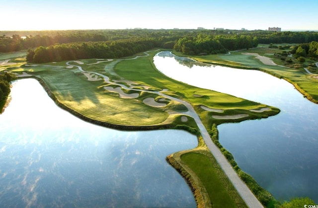 5116 Double Eagle Way Unit 49, North Myrtle Beach, SC 29582 - view of home's community featuring a water view, golf course view, and a wooded view