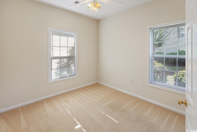 5828 Longwood Dr Unit 101, Murrells Inlet, SC 29576 - photo 5
