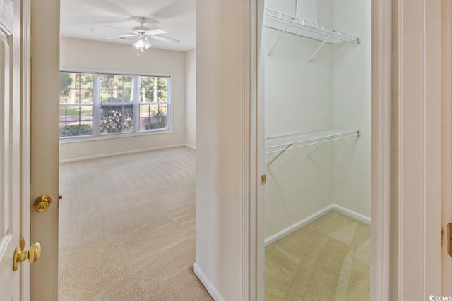 5828 Longwood Dr Unit 101, Murrells Inlet, SC 29576 - photo 23