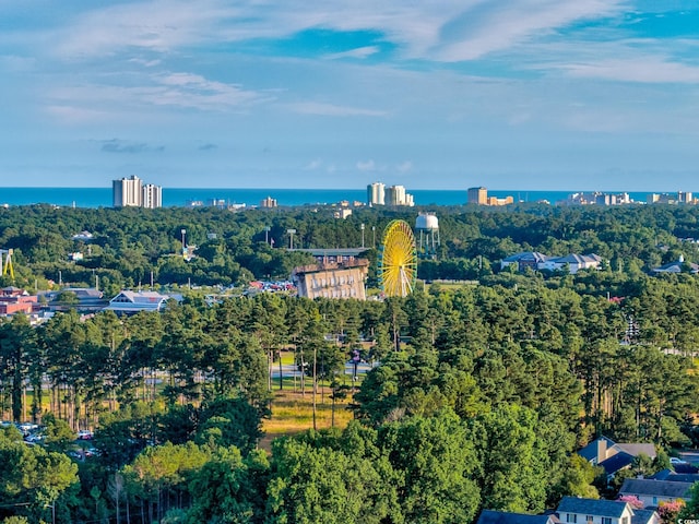 3015 Old Bryan Dr Unit 16-5, Myrtle Beach, SC 29577 - photo 31