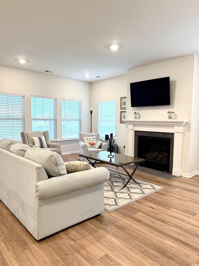 3085 Sistine St, Myrtle Beach, SC 29579 - living area with light wood finished floors, a fireplace, and recessed lighting