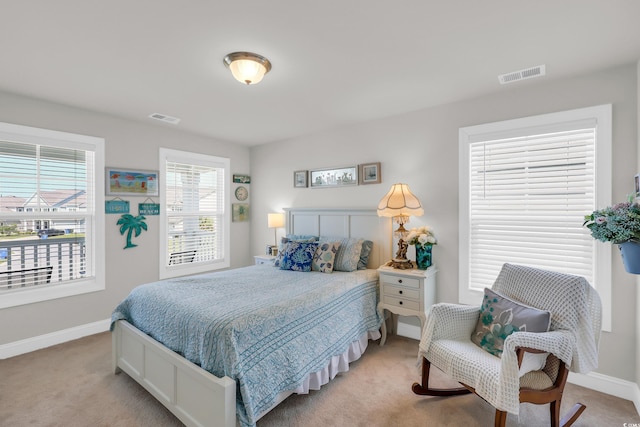 2766 Stellar Loop, Myrtle Beach, SC 29577 - bedroom with baseboards and light colored carpet