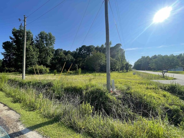 1948 Armview Rd, Loris, SC 29569 - photo 5