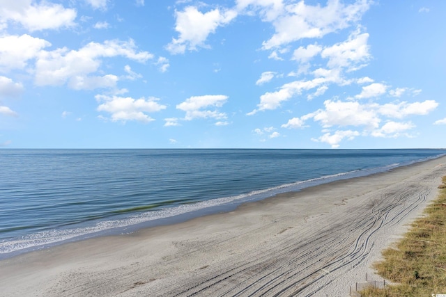 1772 Bay Tree Ln, Surfside Beach, SC 29575 - photo 35