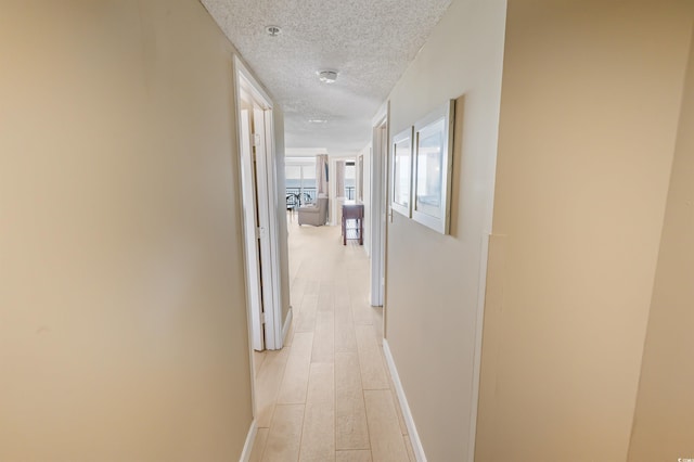 2000 N Ocean Blvd Unit 1117, Myrtle Beach, SC 29577 - hallway with a textured ceiling and light wood finished floors