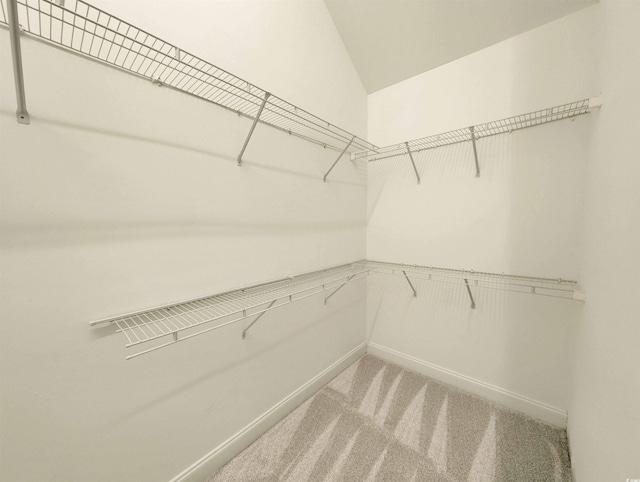 25 Deloach Trl, Pawleys Island, SC 29585 - spacious closet featuring carpet flooring