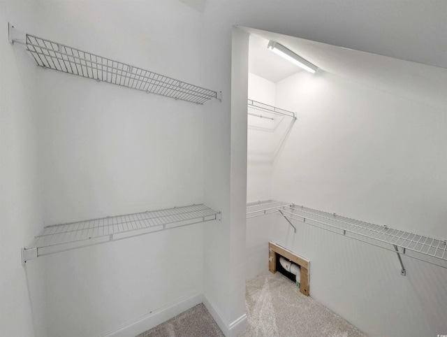 25 Deloach Trl, Pawleys Island, SC 29585 - walk in closet featuring carpet floors
