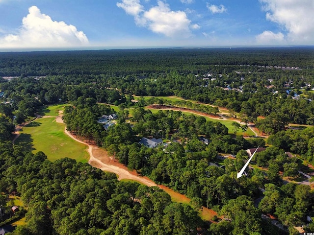 25 Deloach Trl, Pawleys Island, SC 29585 - aerial view of property and surrounding area with a heavily wooded area and a golf club